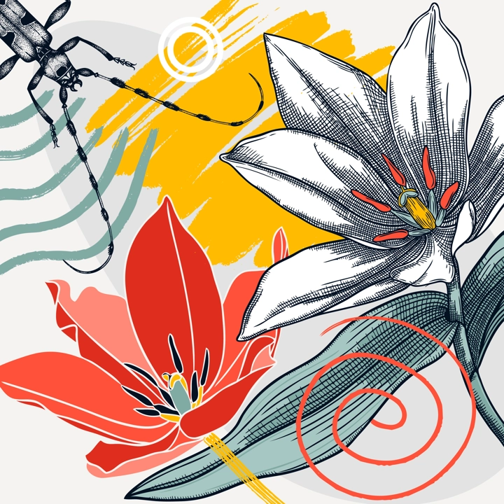 Collage style tulips vector illustration. Hand-sketched spring flower and beetle. Trendy design with floral, geometric shapes, abstract elements. Perfect for print, poster, card, wall art, cards